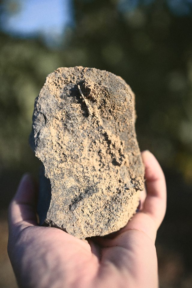 A hand holds a stone picked up from the vineyard.