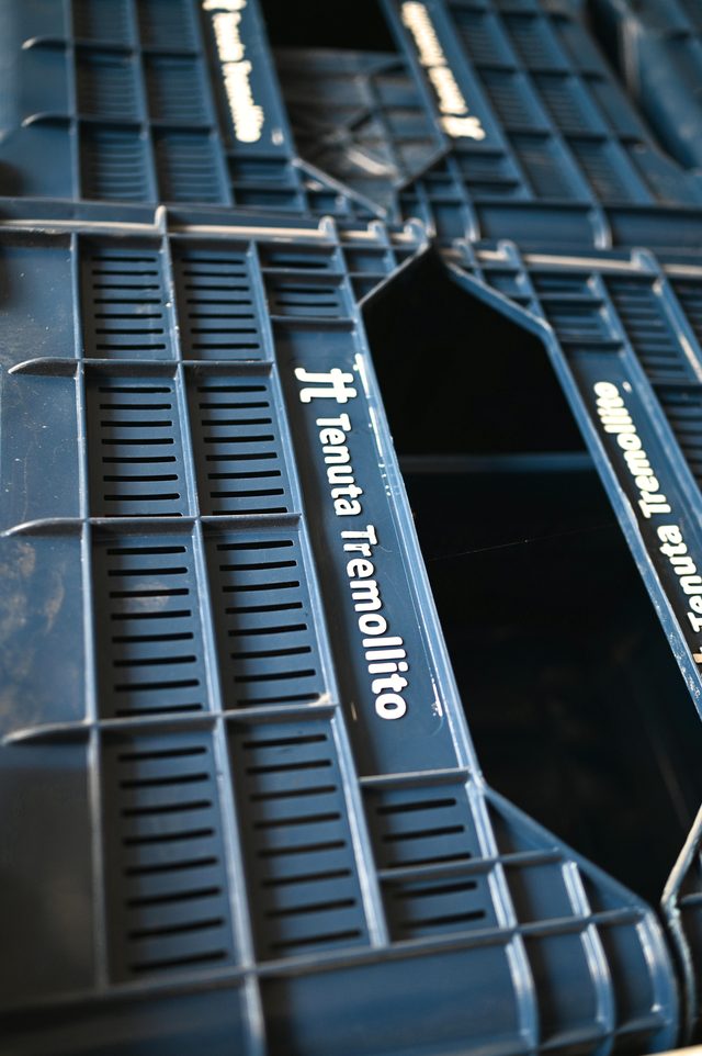 Stacked blue harvest crates printed with Tenuta Tremollito.